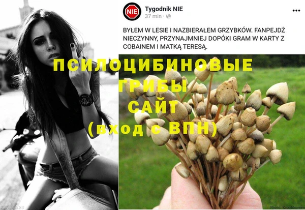 COCAINE Богородск
