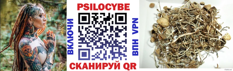 Галлюциногенные грибы Psilocybine cubensis  Орехово-Зуево 